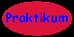 Praktikum